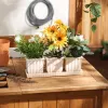 WHITE SQUARE CERAMIC SMALL PLANTER SET OF 3